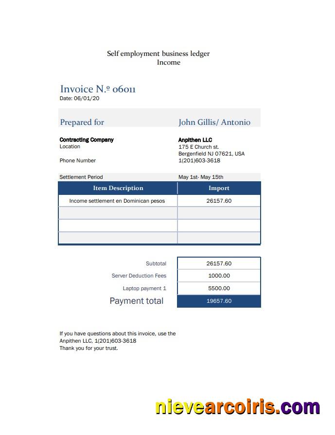 Self employment pay stub